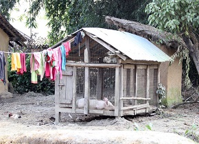 A Predator-Proof Shelter Photo Credit: Steb Fisher