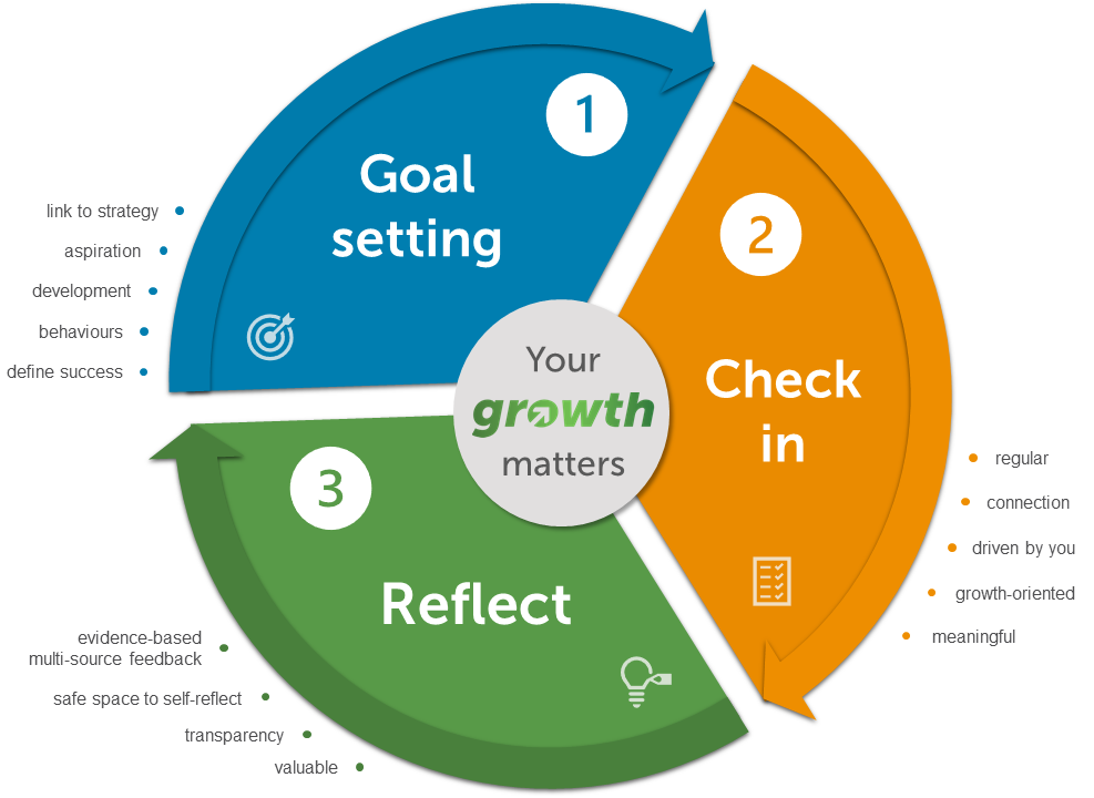 Image: YVM three steps: STEP 1: Goal setting; STEP 2: Check in; STEP 3: Reflect.
