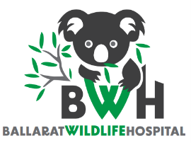 BWH
