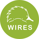Wires