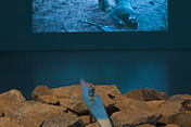 2013-Lost-world-1_sml.jpg