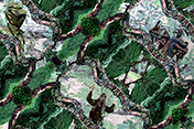 JWyman_GNAP_2014_sml.jpg